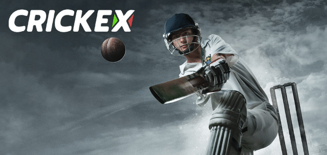 Crickex অনলাইন বেটিং